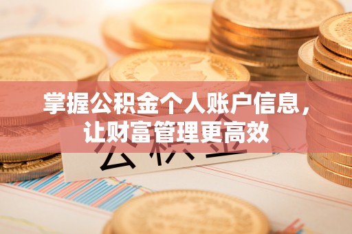 青浦掌握公积金个人账户信息，让财富管理更高效